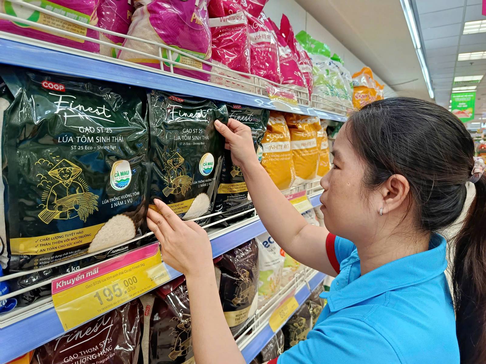 A person looking at a product on a shelf

AI-generated content may be incorrect.