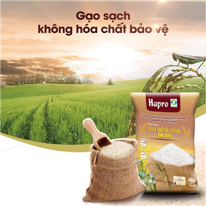 2412084: GẠO HAPRO ĐỒNG VÀNG ĐẶC BIỆT