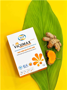 2406017: THỰC PHẨM BẢO VỆ SỨC KHỎE VICUMAX LIMITED NANO CURCUMIN