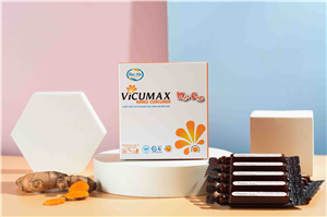 2406016: THỰC PHẨM BẢO VỆ SỨC KHỎE VICUMAX MẬT ONG NANO CURCUMIN