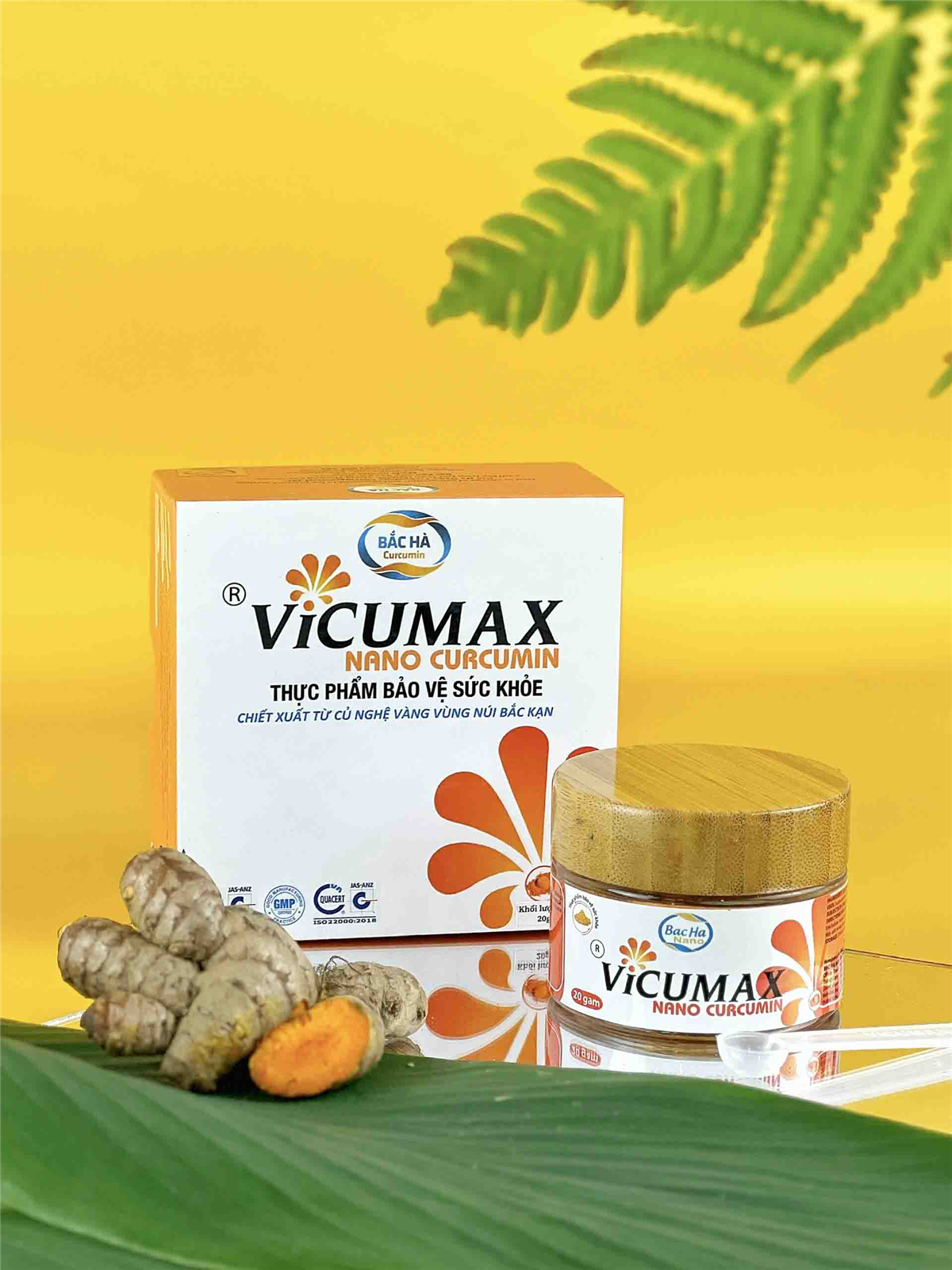 2406015: THỰC PHẨM BẢO VỆ SỨC KHỎE VICUMAX NANO CURCUMIN