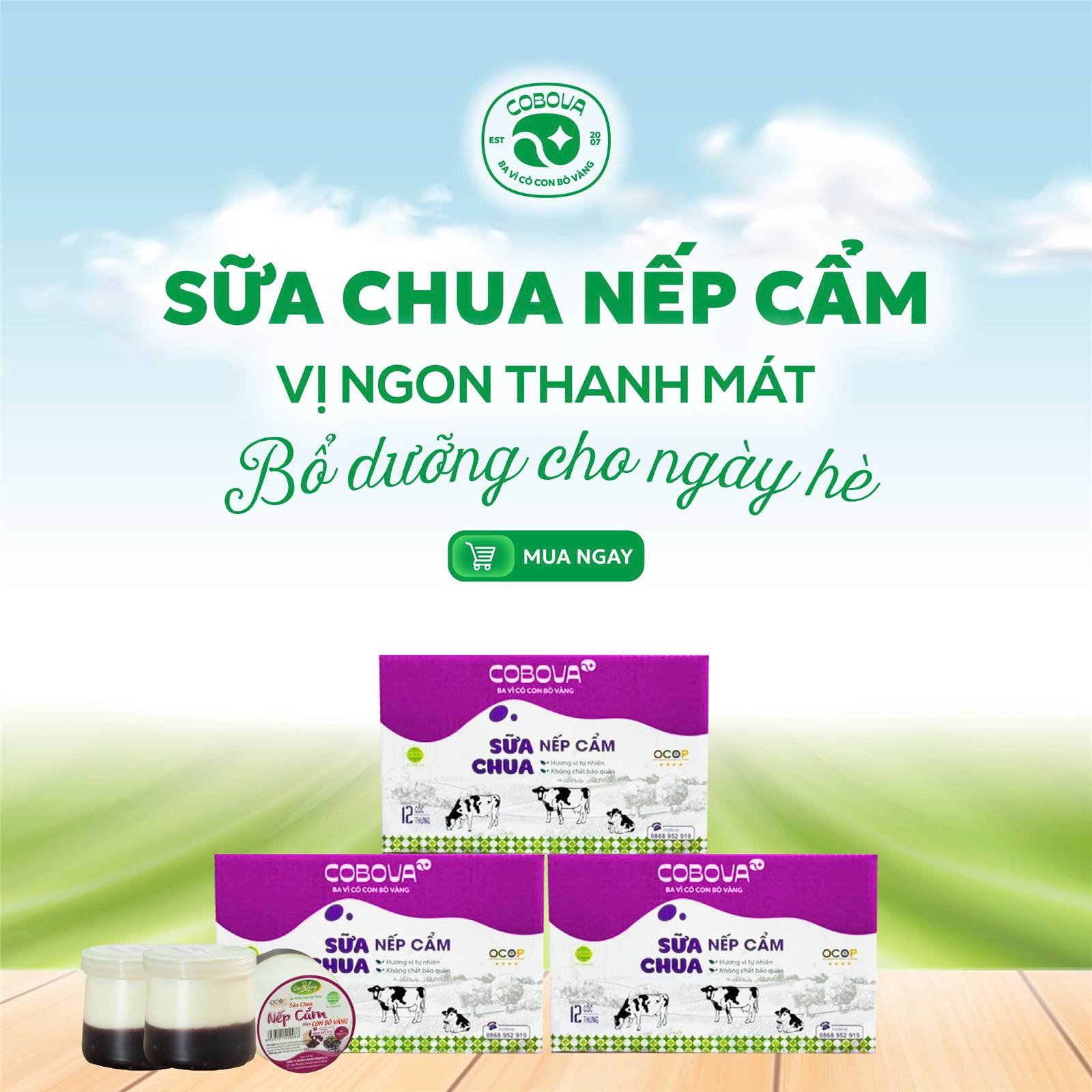 2412064: SỮA CHUA NẾP CẨM