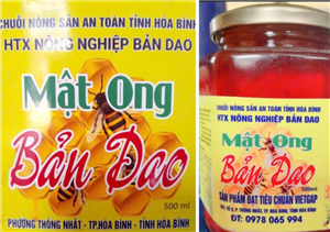 2406028: MẬT ONG BẢN DAO